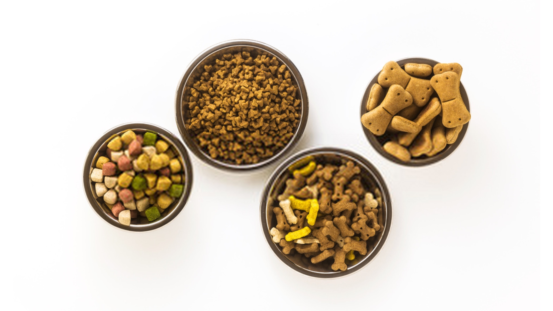 Dogs World Pet Center Online Delivery Order from Foody