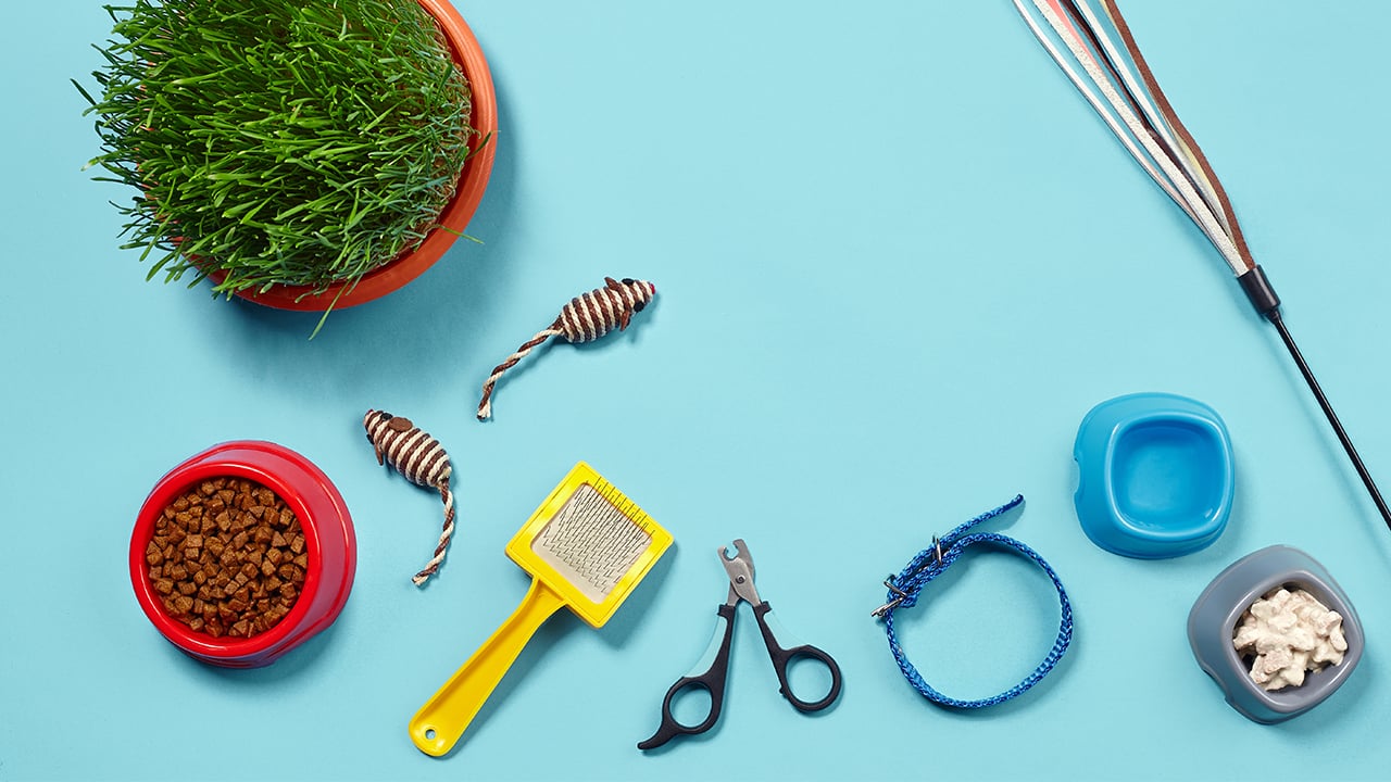 Pet People Pet Stop Athalassas Pet Products delivery in Strovolos